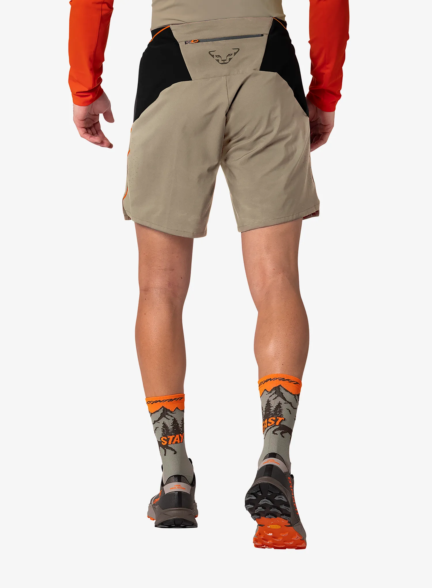 Laufshorts Dynafit Alpine Pro 2/1 Shorts - fallen rock