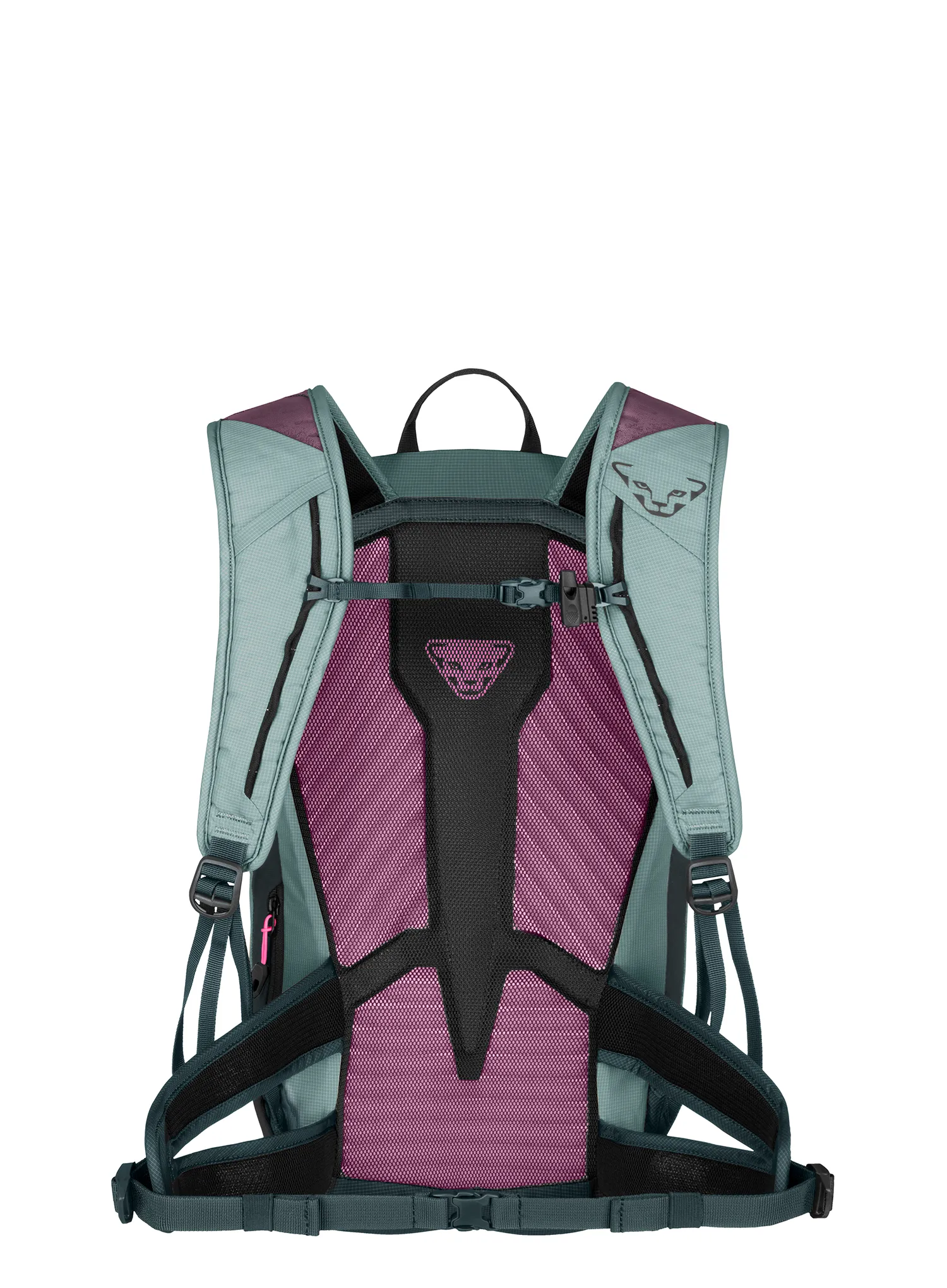 Wanderrucksack Damen Dynafit Transalper 22 Backpack - cloud blue/cinder