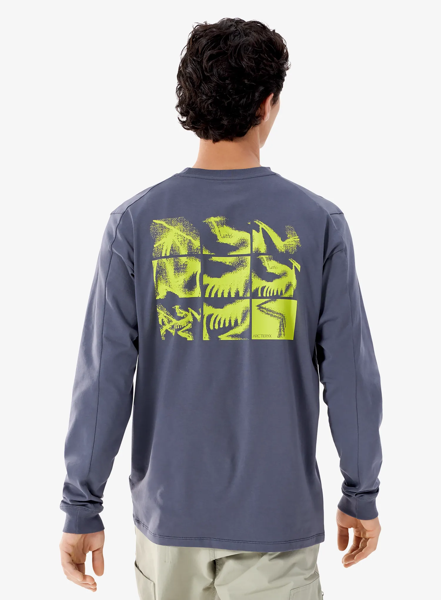Pullover Arcteryx Kragg SL Cotton Bird Tile LS - dk stratus/euphoria