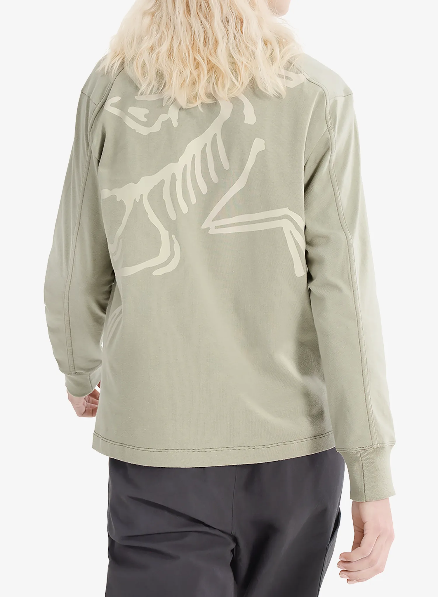 Kletter-Pullover Damen Arcteryx Kragg Cotton Bird Crew LS - habitat