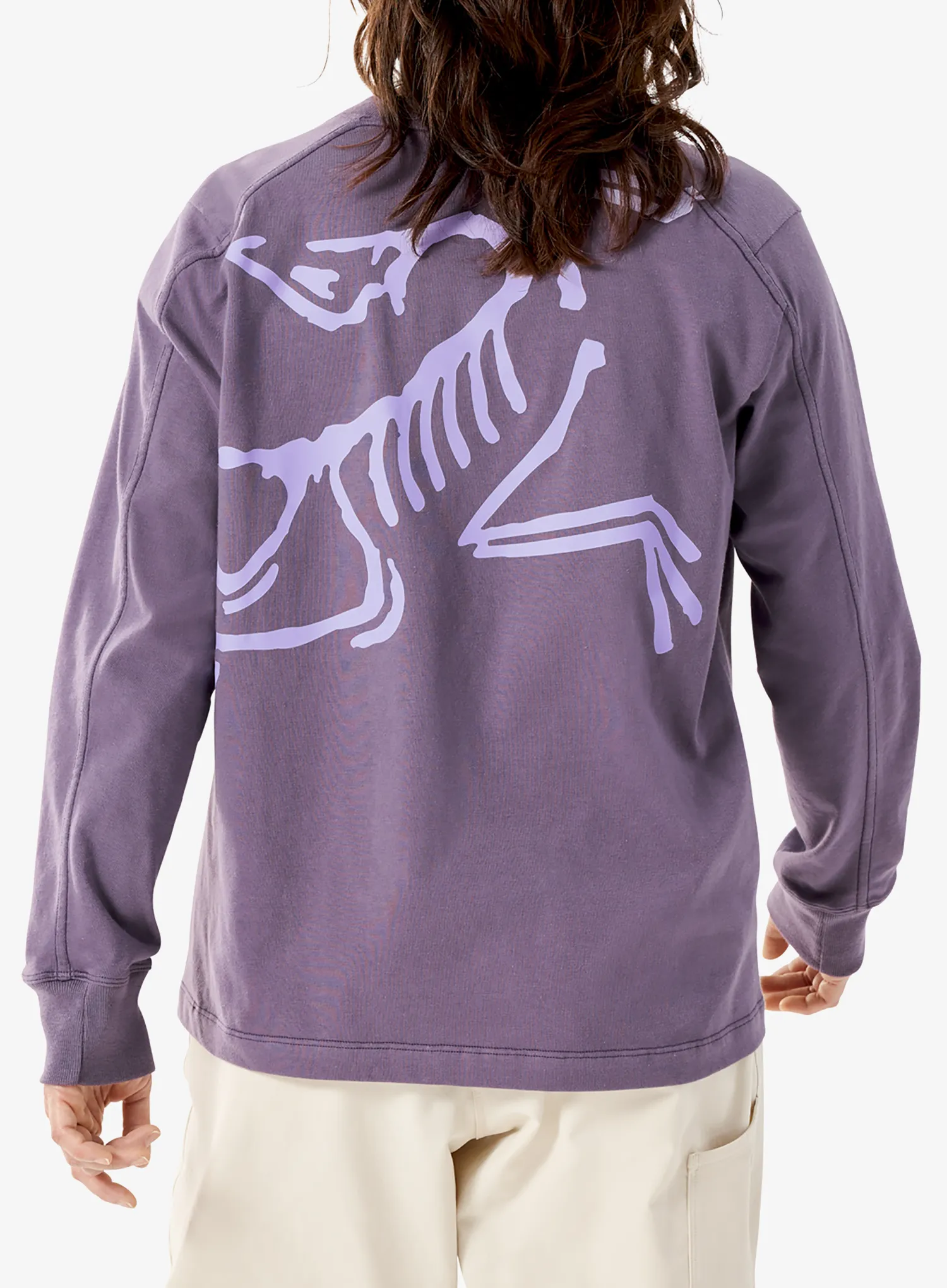 Pullover Damen Arcteryx Kragg Cotton Bird Crew LS - lt moondrop
