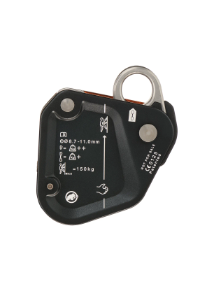 Gerät Mammut Assist Belay Resistor - gold