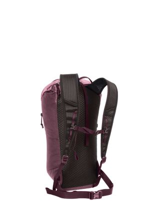 Kletterrucksack Blue Ice Dragonfly 18L - winetasting