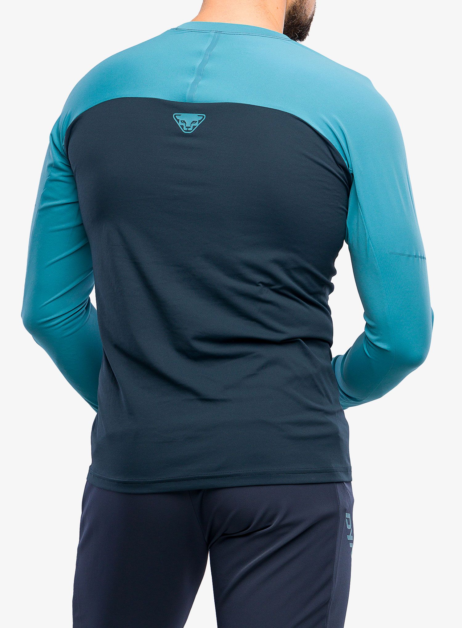 Pullover Dynafit Alpine Pro L/S Tee - blueberry/storm blue