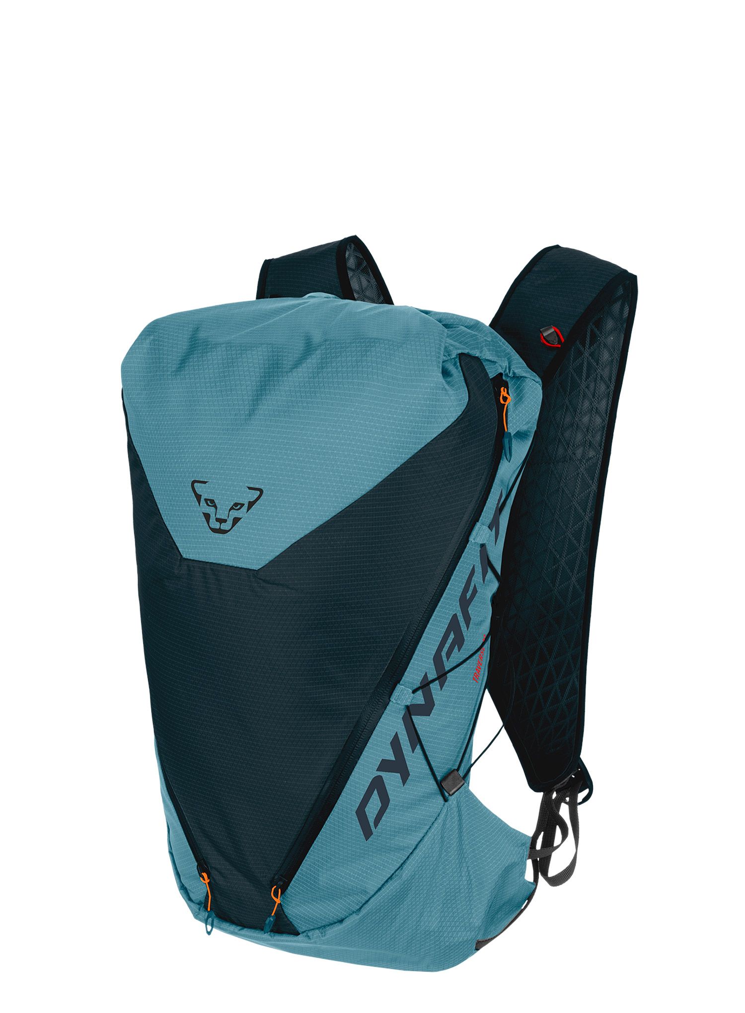 Laufrucksack Dynafit Traverse 22 Backpack - storm blue/blueberry