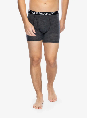 Boxershorts Herren Icebreaker Anatomica Boxers wFly - jet