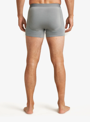 Boxershorts Icebreaker Merino 125 ZoneKnit Boxers - alloy