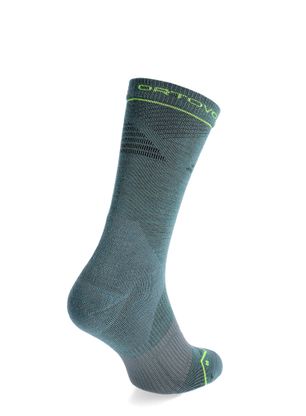 Socken Herren Ortovox Alpine Pro Comp Mid Socks - arctic grey