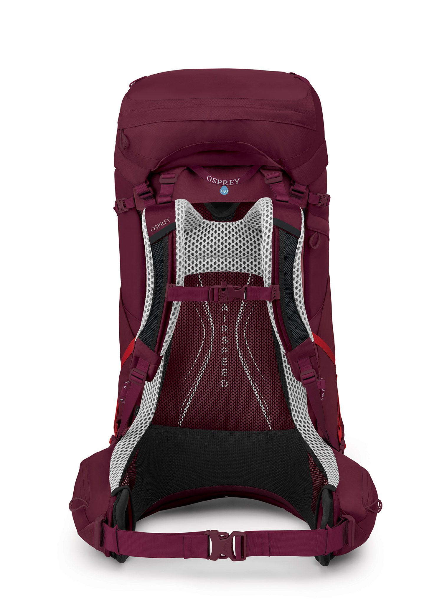 Trekkingrucksack Damen Osprey Aura AG LT 65 - antidote purple