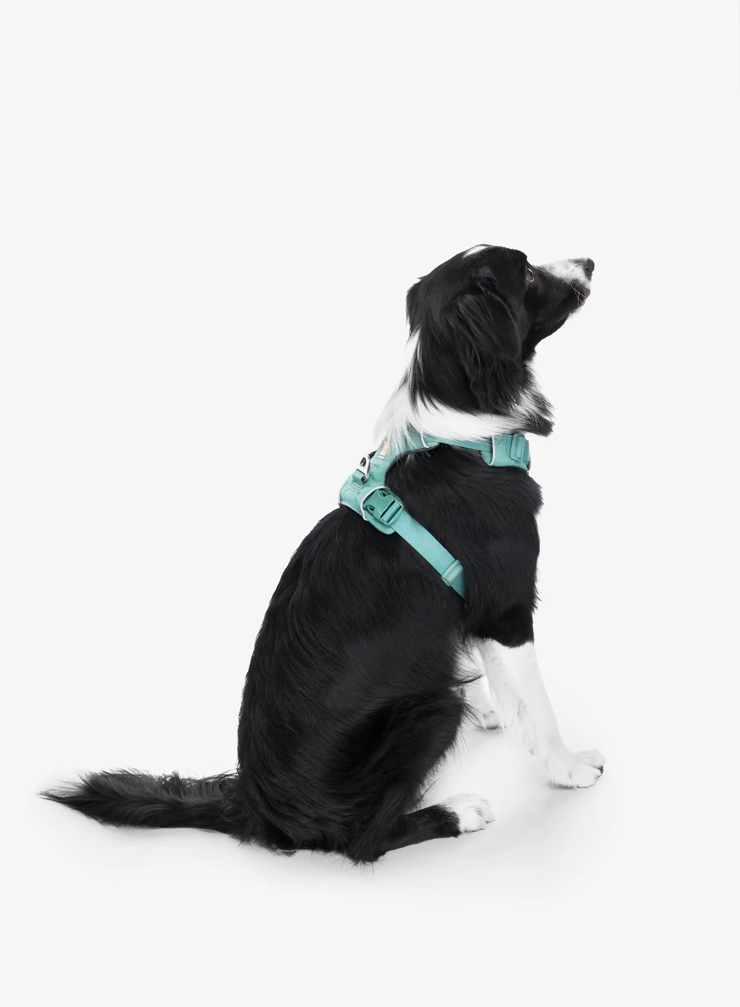 Hundegeschirr Ruffwear Front Range Harness S - river rock green