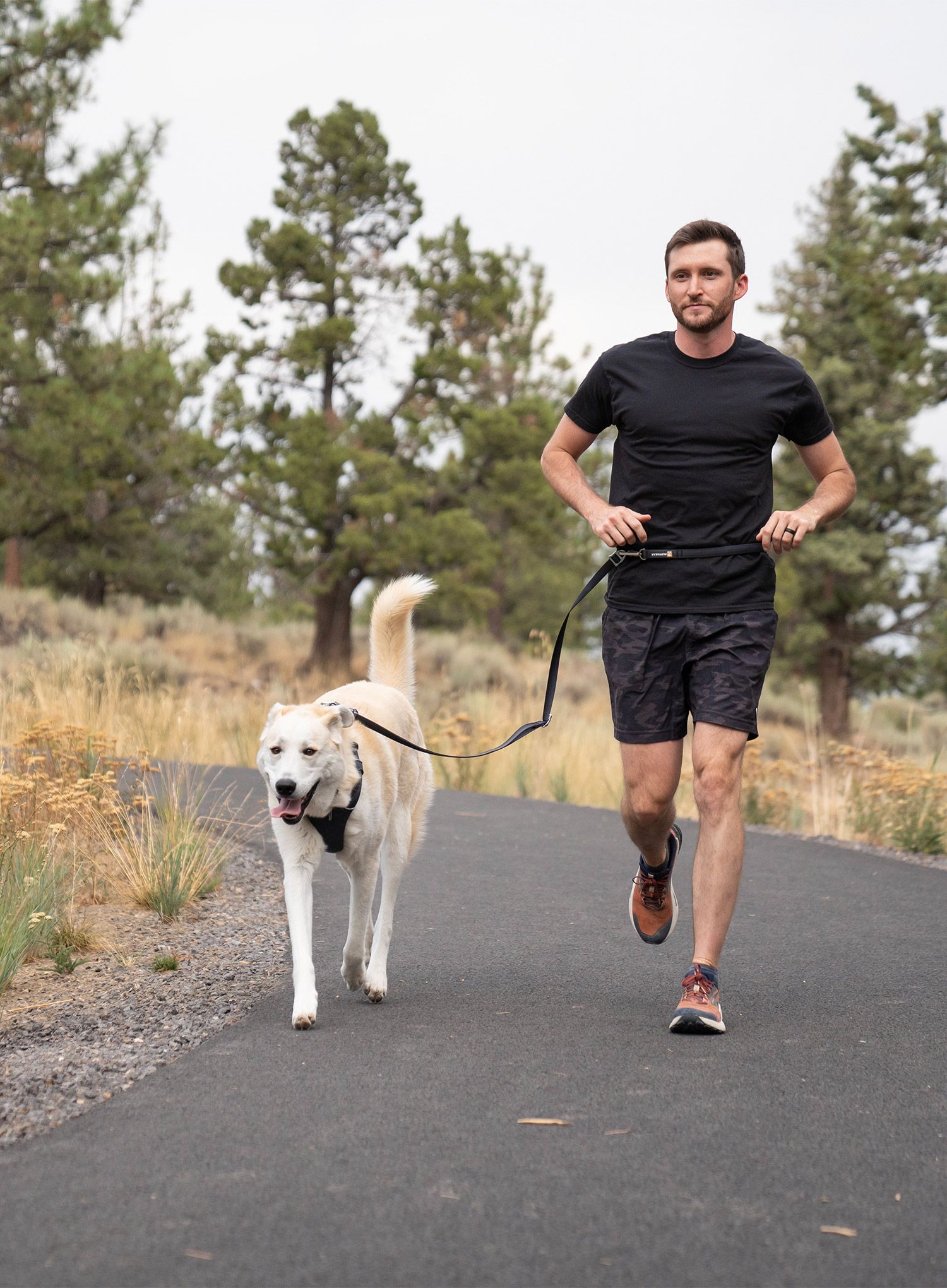Hundeleine Ruffwear Switchbak Leash - basalt gray
