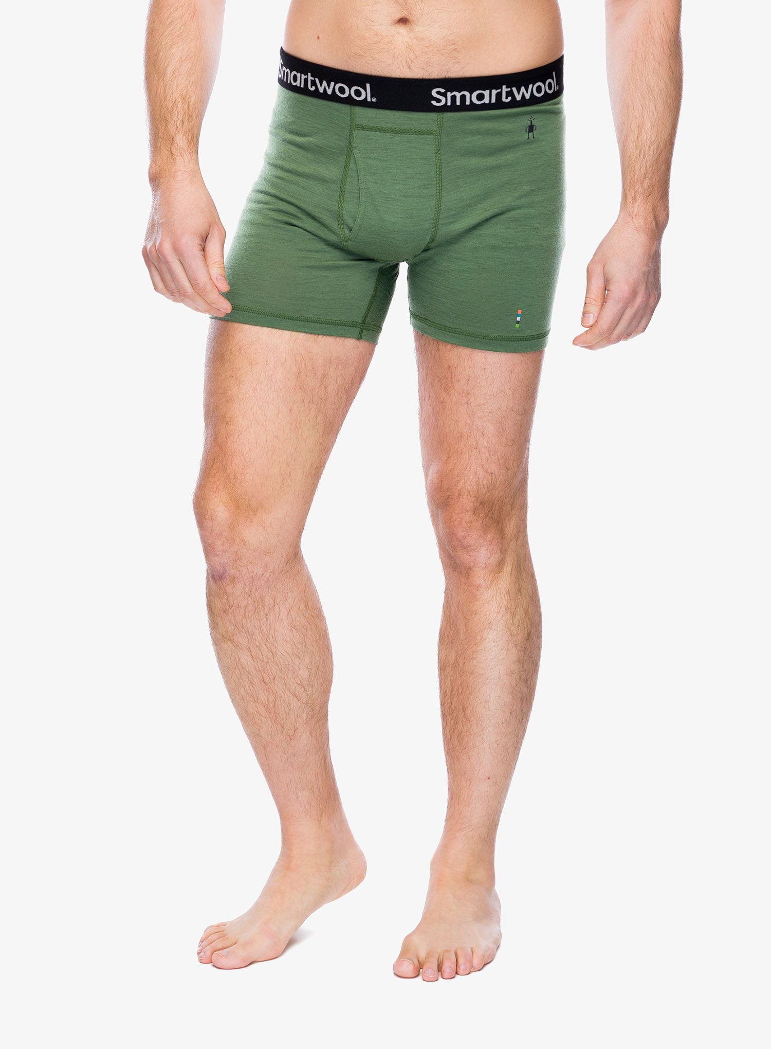 Boxershorts Smartwool Merino Boxer Brief Boxed - fern green