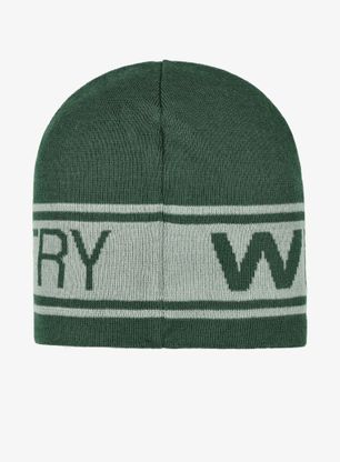 Wintermütze Wild Country Stamina Beanie - green ivy