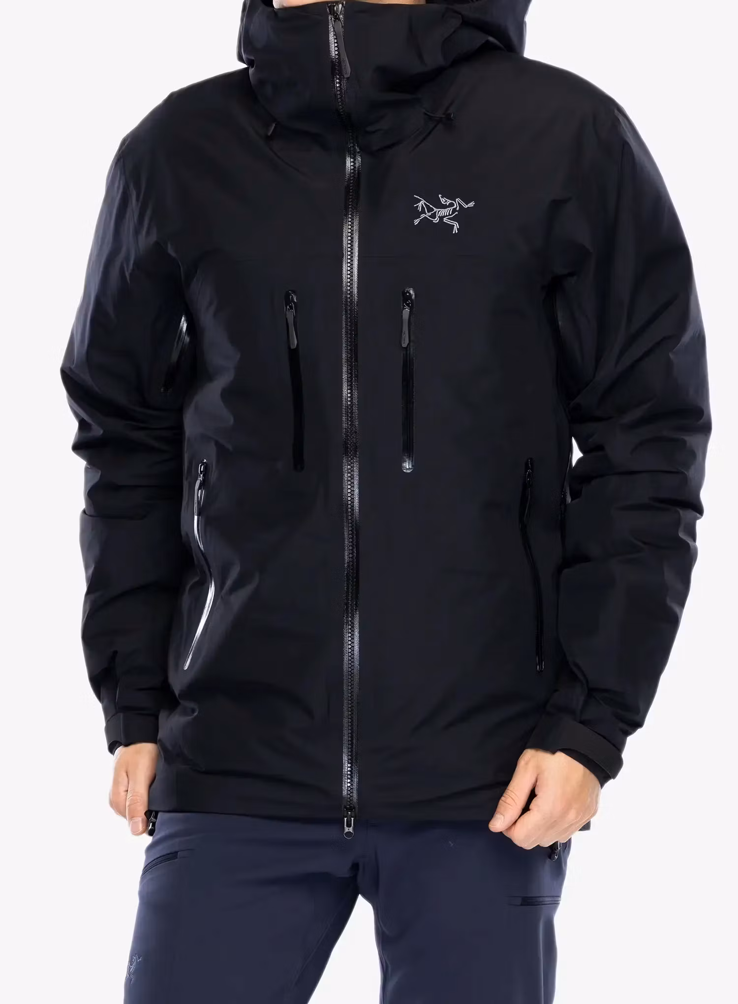 Daunenjacke Arcteryx Beta Down Insulated Jacket - black | 8a.de