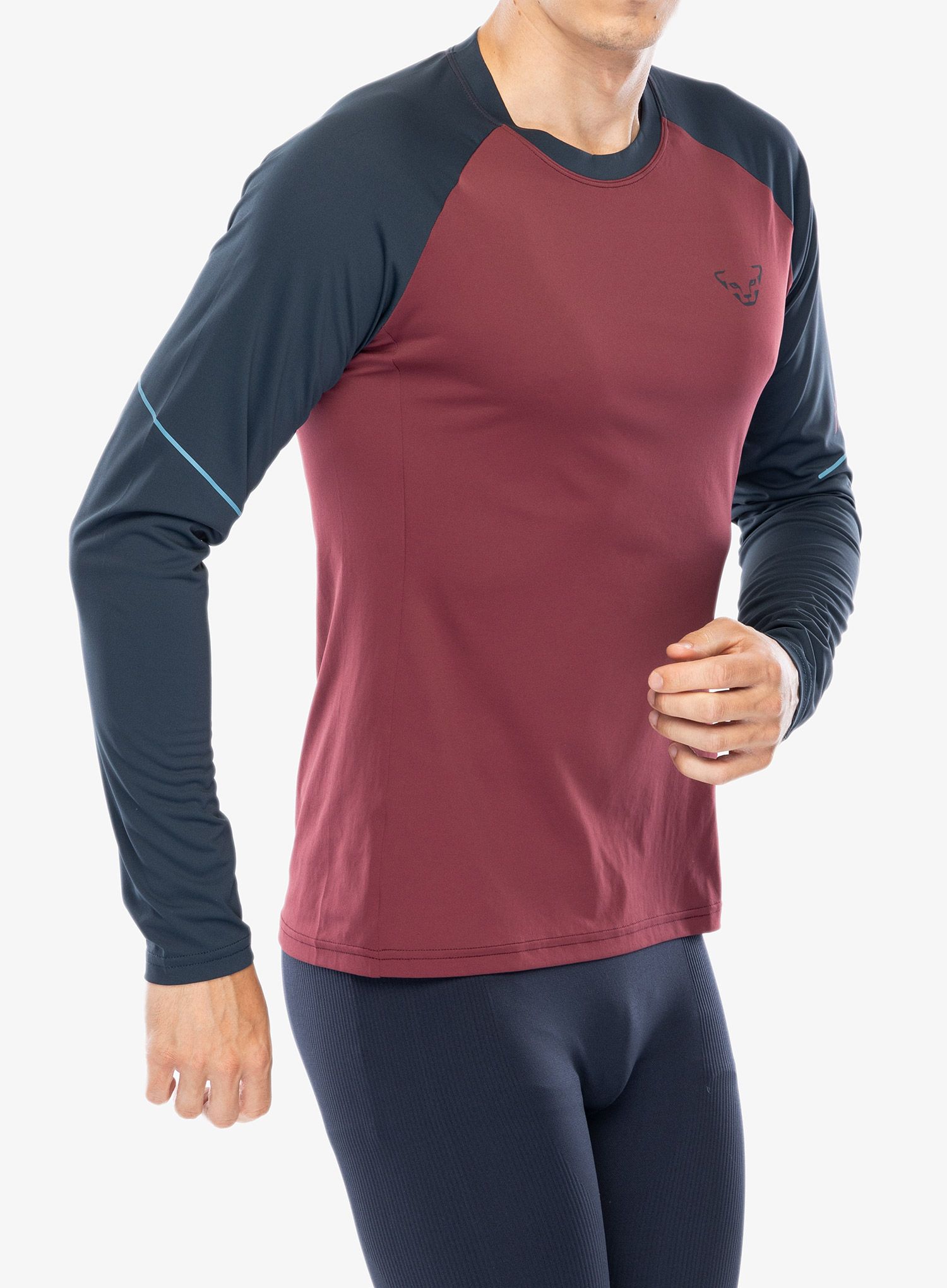 Laufshirt Herren Langarm Dynafit Alpine Pro L/S Tee - burgundy