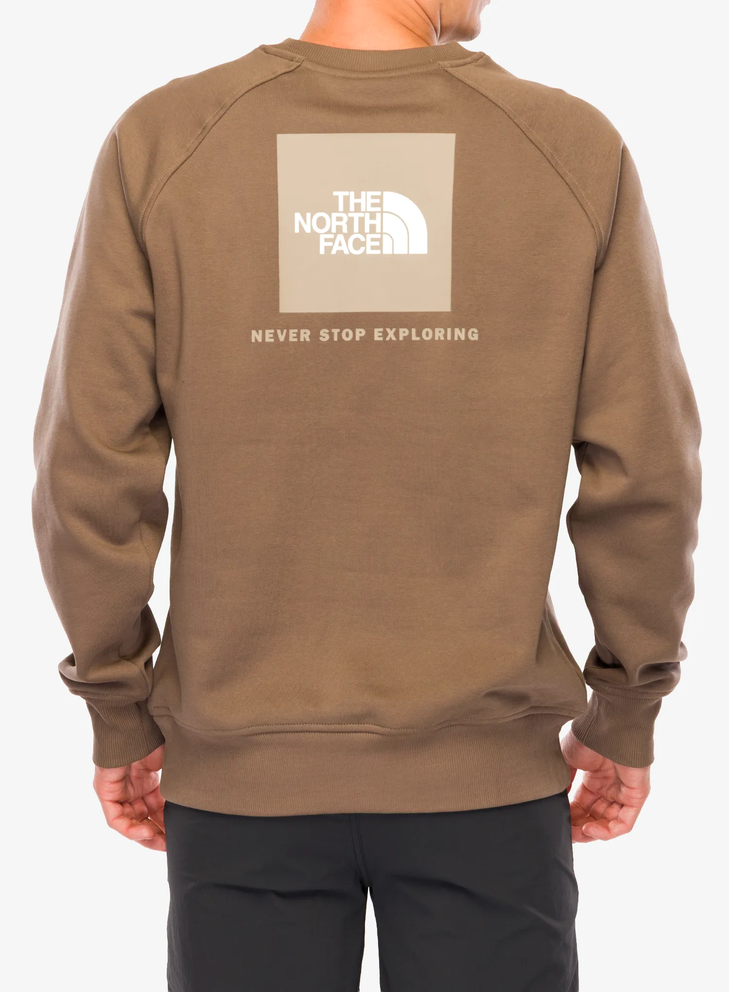 Pullover The North Face Raglan Redbox Crew - mocha brown/mushroom