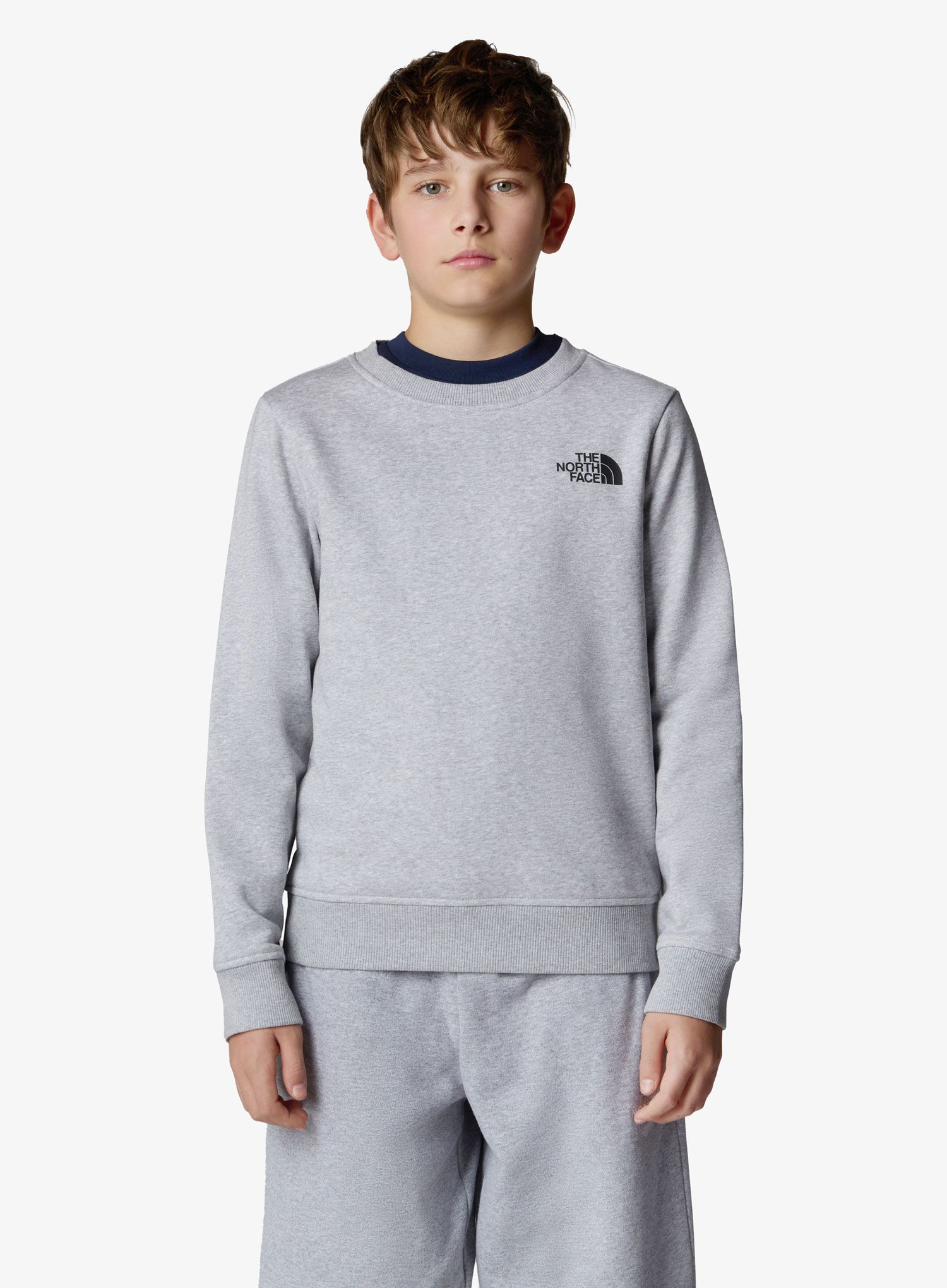 TheNorthFaceRedboxRegularCrew_tnflightgreyheather197065003197a.jpg