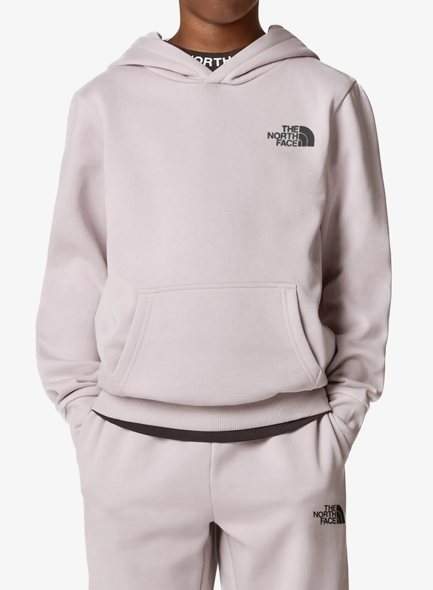 TheNorthFaceSimpleDomeHoodie_moonstonegrey_197642744802_514.webp