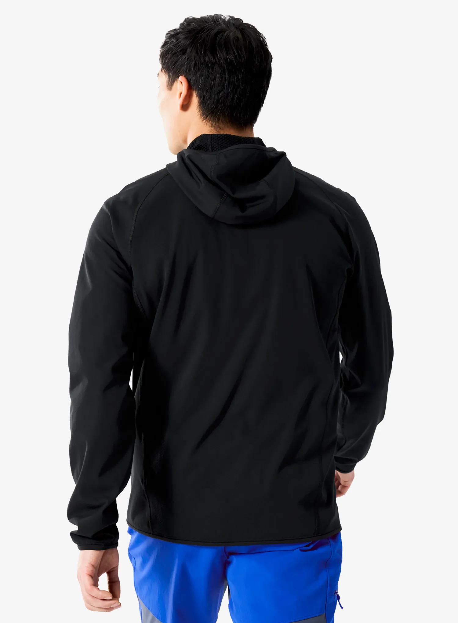 Hoodie Arcteryx Delta Hoody - black