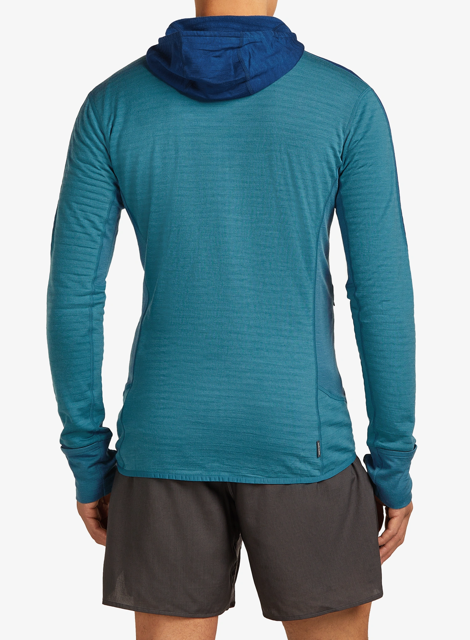 Hoodie Icebreaker Merino Blend 300 RealFleece Descender LS Zip Hoodie - topaz/atlantis/cb