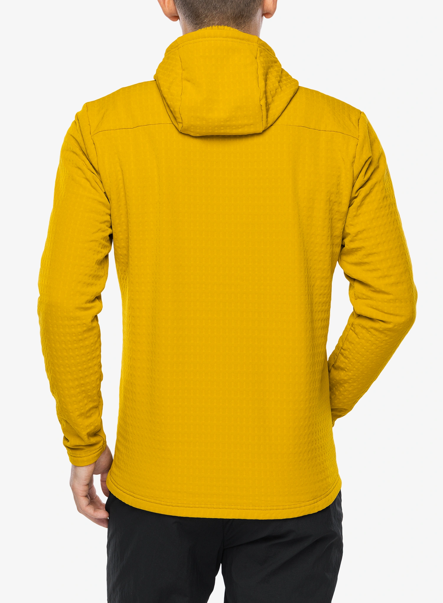Hoodie Montane Protium Xt Hoodie - ginkgo gold