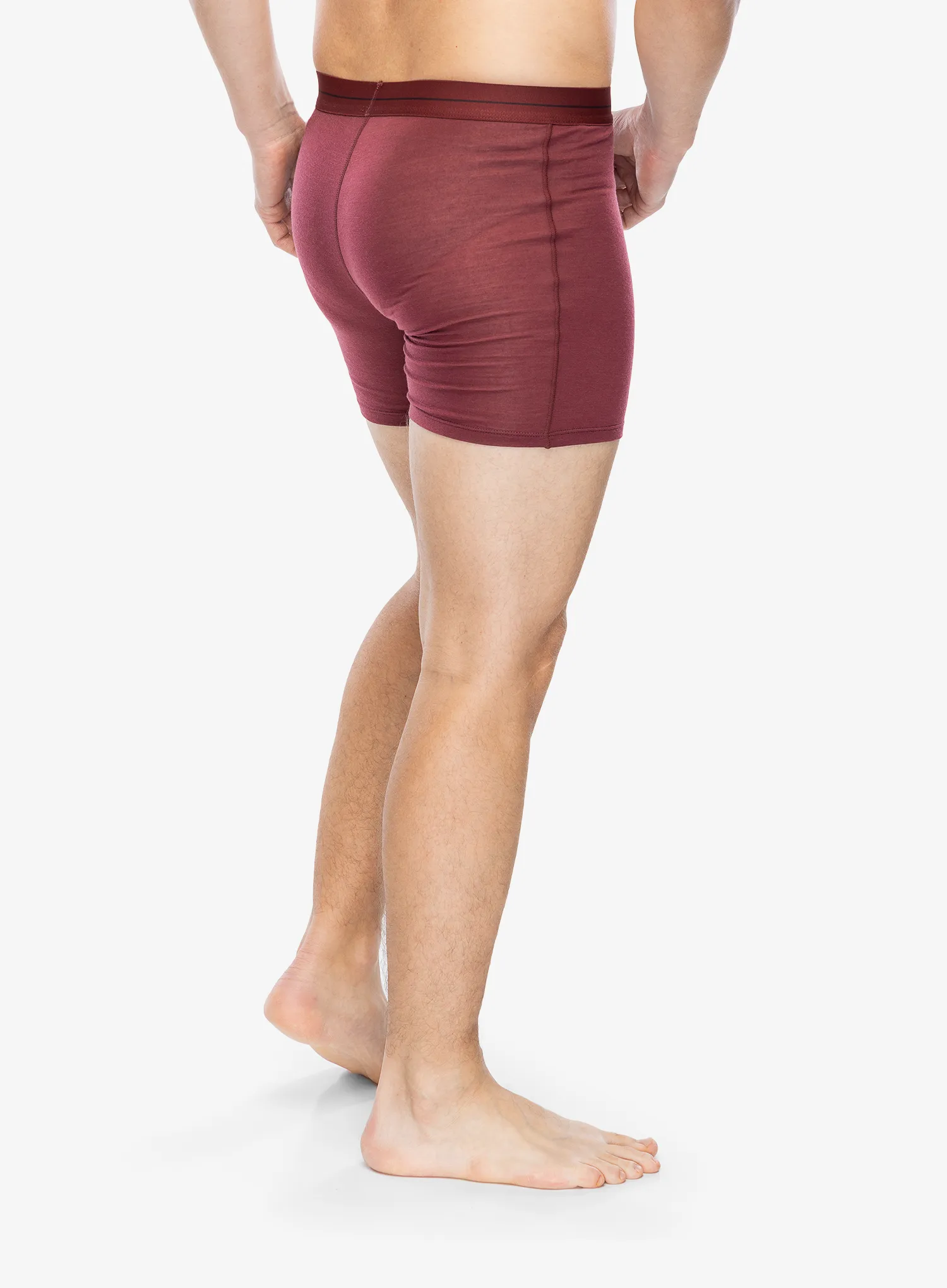 Boxershorts Icebreaker Anatomica Boxers - port