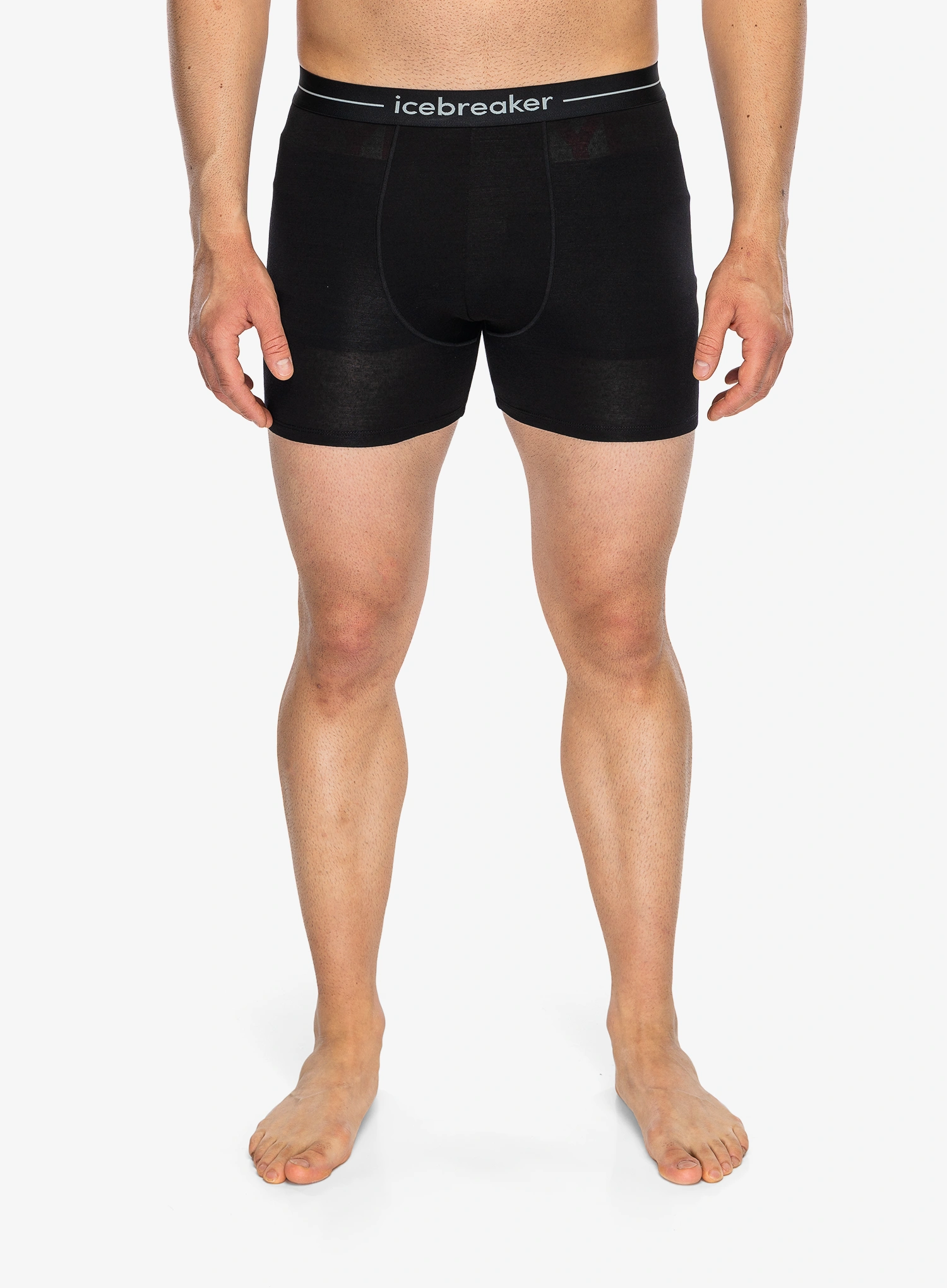 IcebreakerMerino150AnatomicaBoxers2Pack_black_110.webp