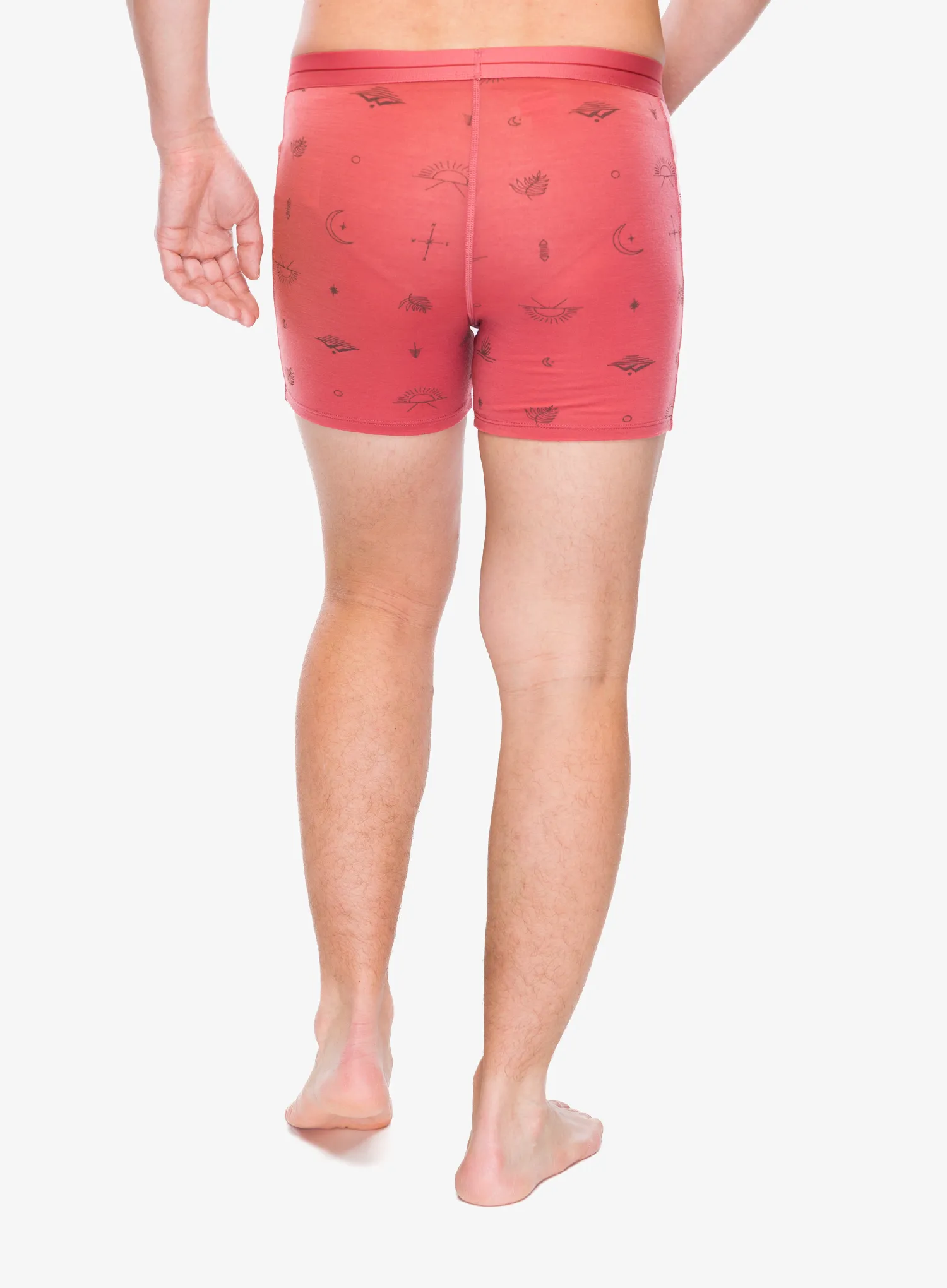 Boxershorts Icebreaker Merino 150 Anatomica Boxers Explore More - plume/aop