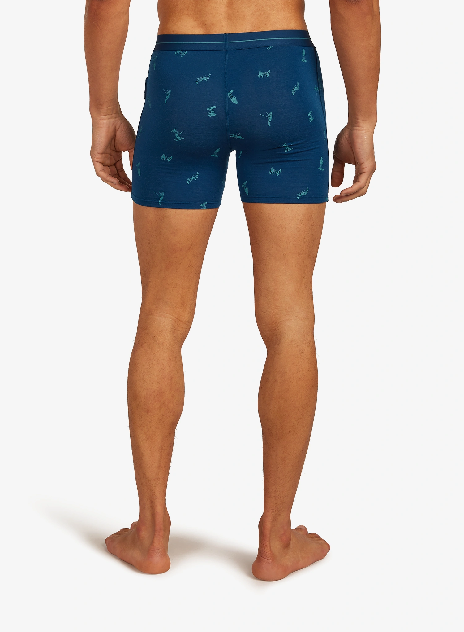 Boxershorts Icebreaker Merino 150 Anatomica Boxers Ski Day - atlantis/topaz/aop