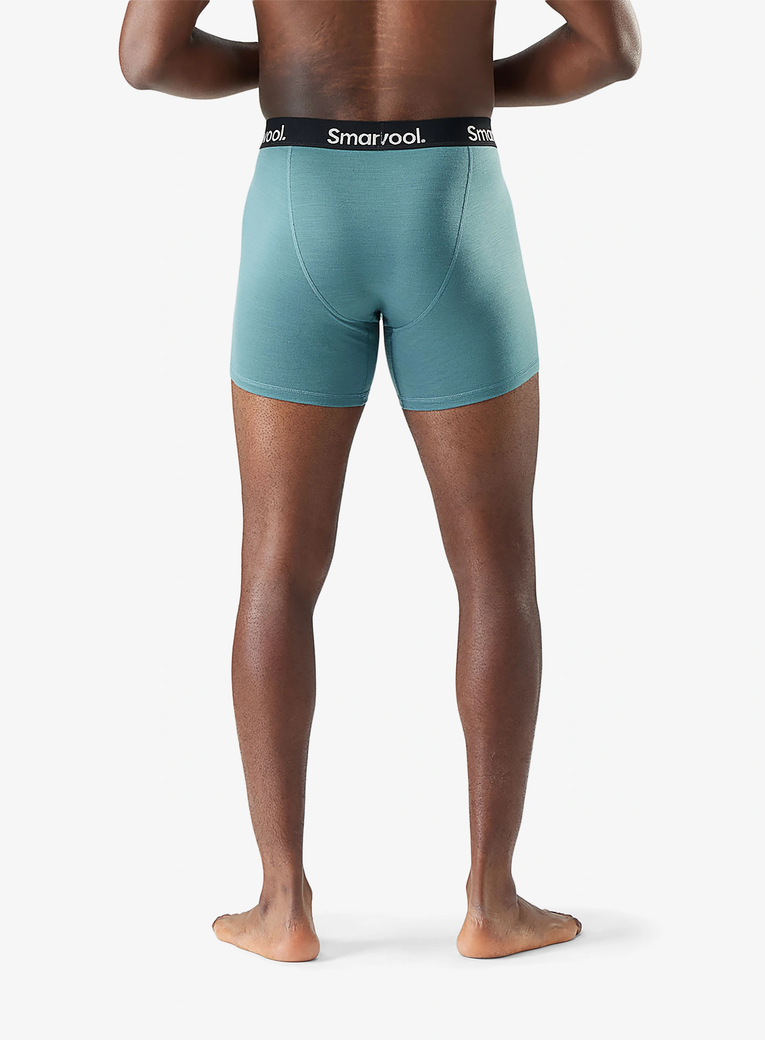 Boxershorts Smartwool Everyday Merino Boxer Brief Boxed - dusty teal