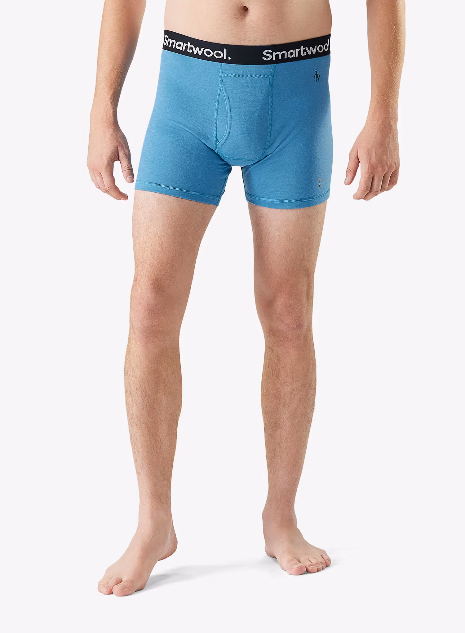 qweSmartwoolMerinoBoxerBriefBoxedmineralblue197805800840a.webp