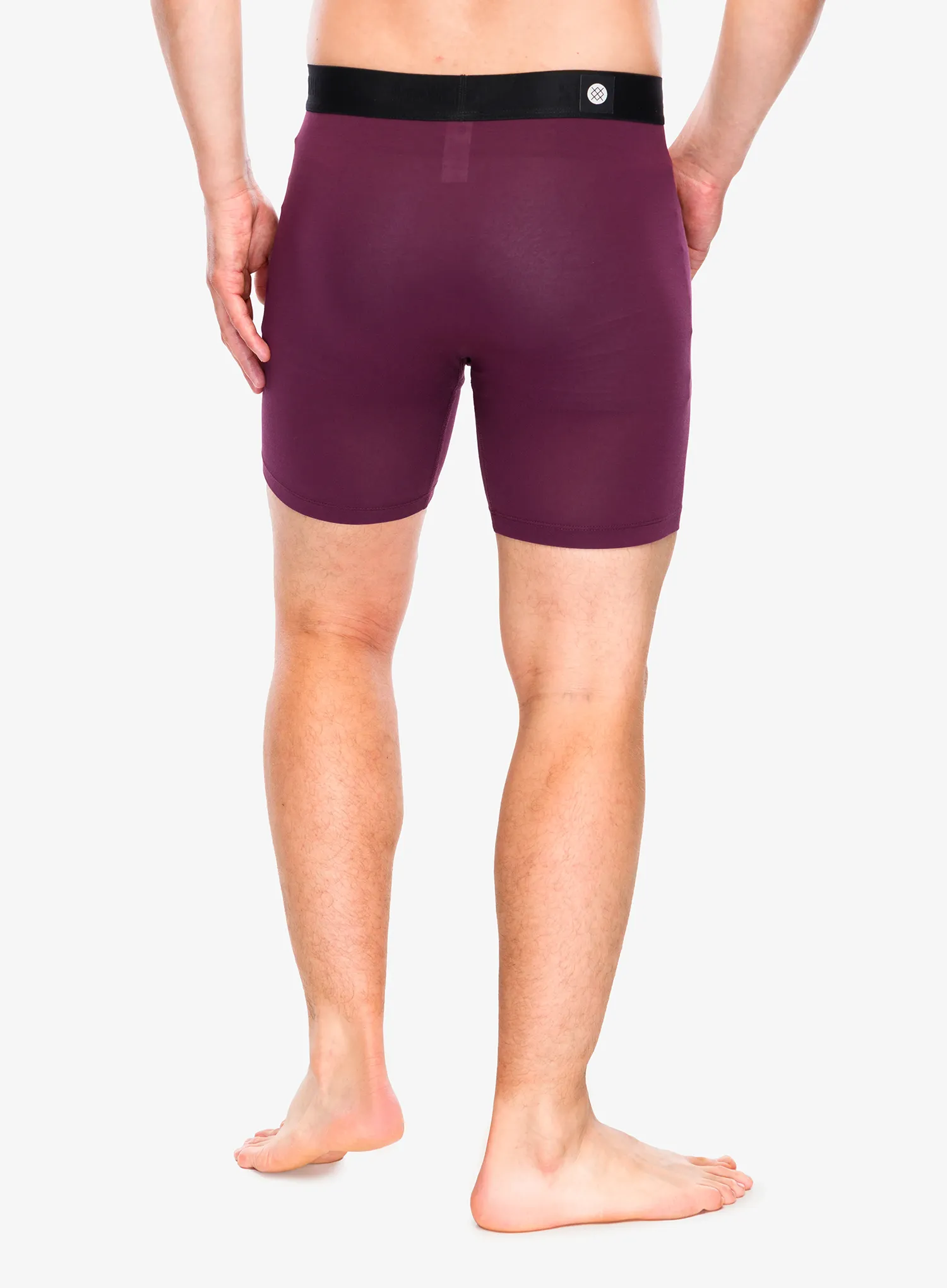 Boxershorts Stance Fig Wholester - fig