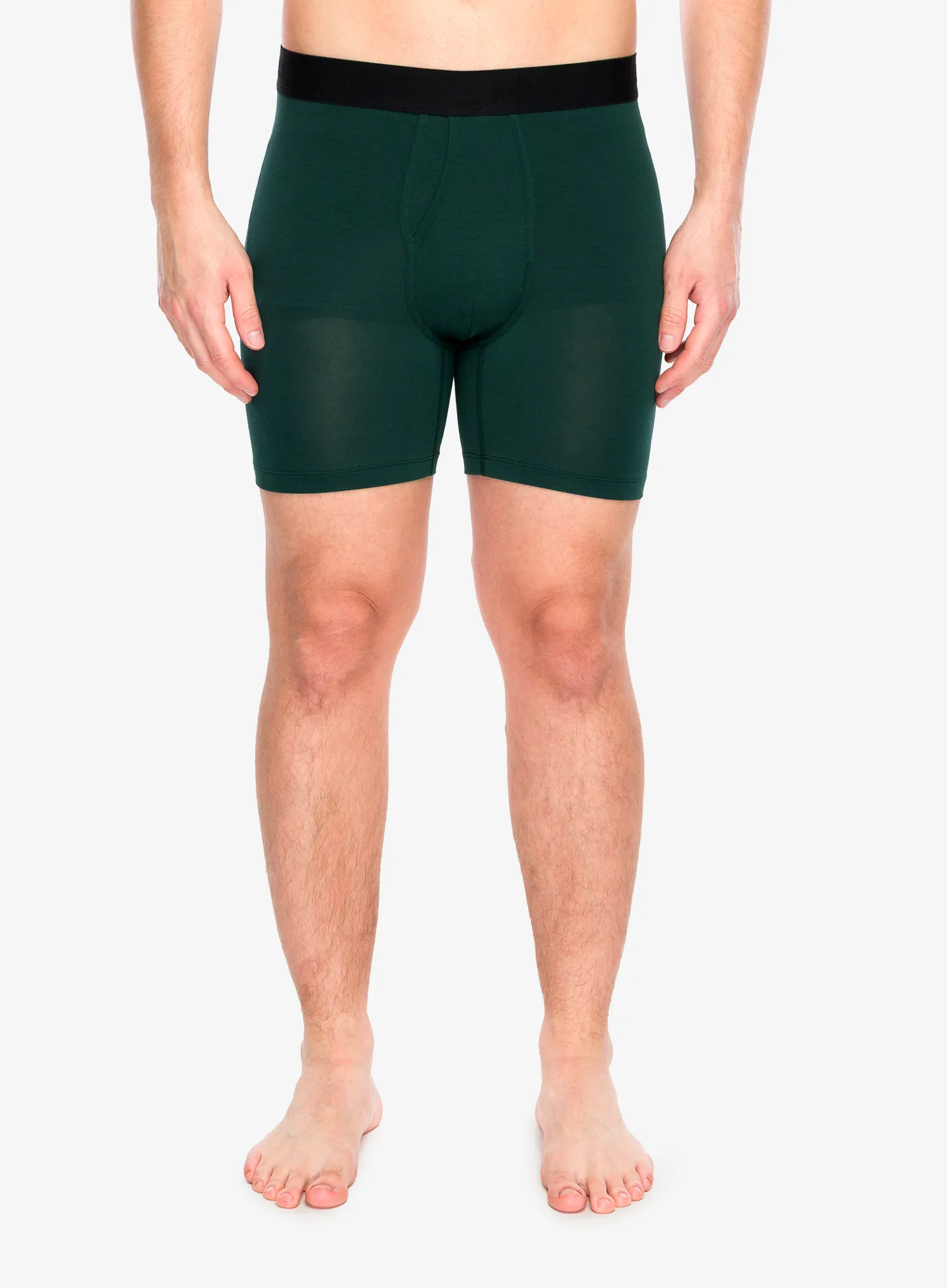 StanceTheBoxerBrief_pinewholester190107648783a.webp