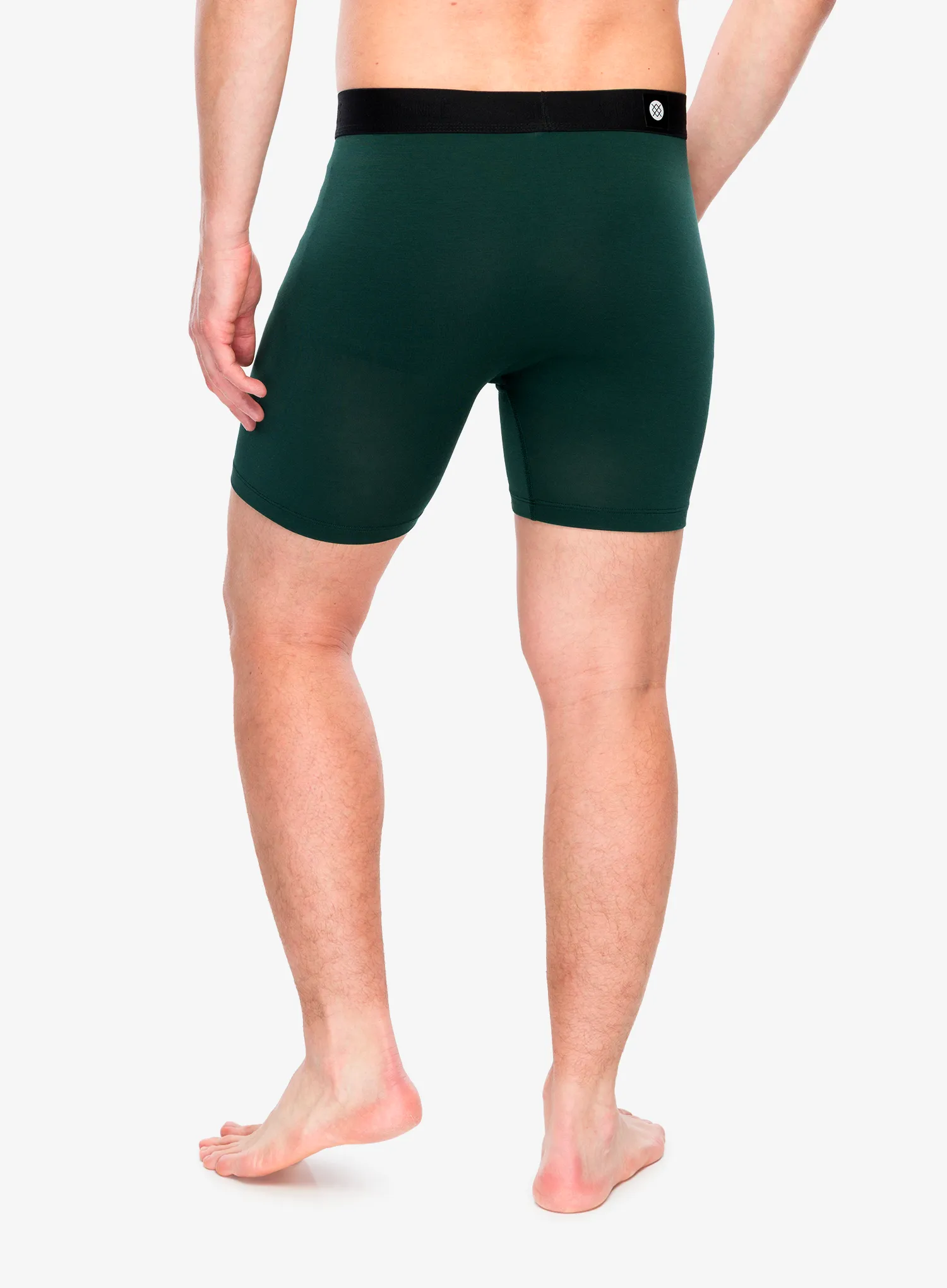 Boxershorts Stance The Boxer Brief - pine wholester