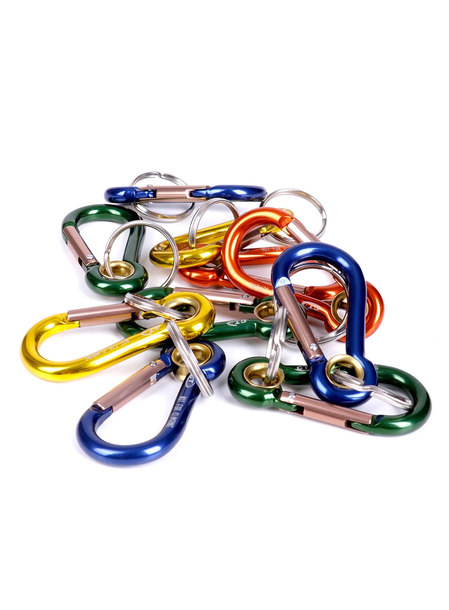 Schlüsselanhänger Climbing Technology/SKYLOTEC Key 504 - assorted