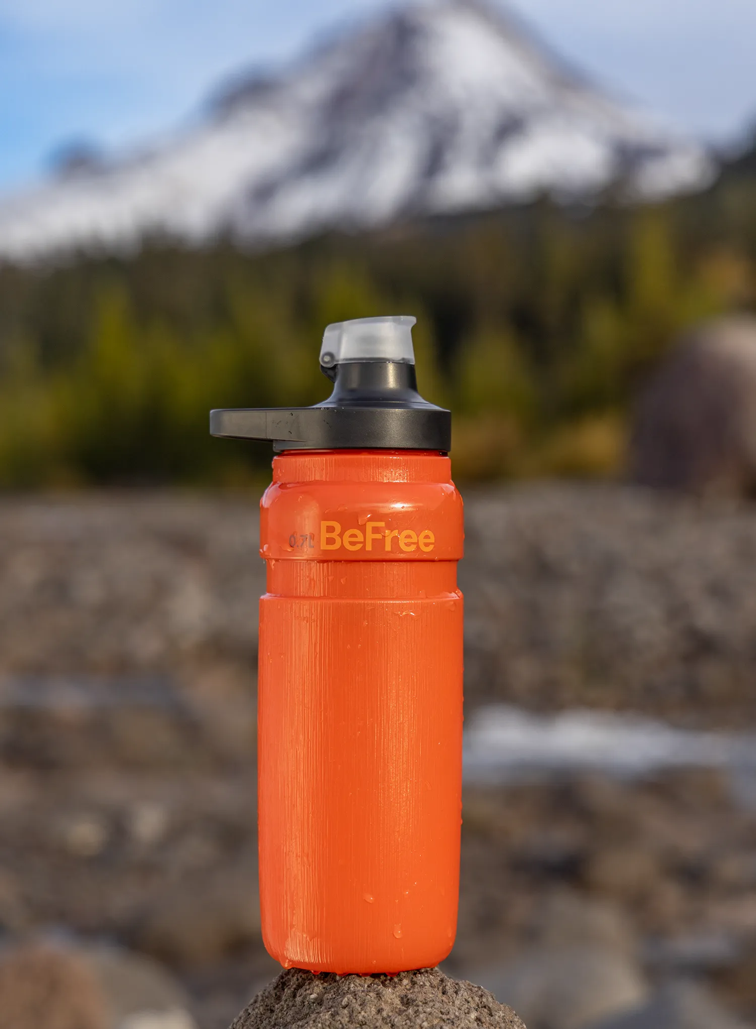 Wasserfilter-Flasche Katadyn BeFree AC Bottle 0.7L - red