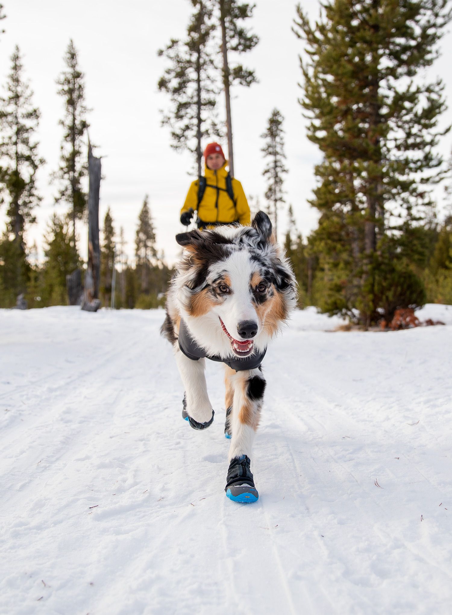 Hundeschuhe Ruffwear Polar Trex - obsidian black