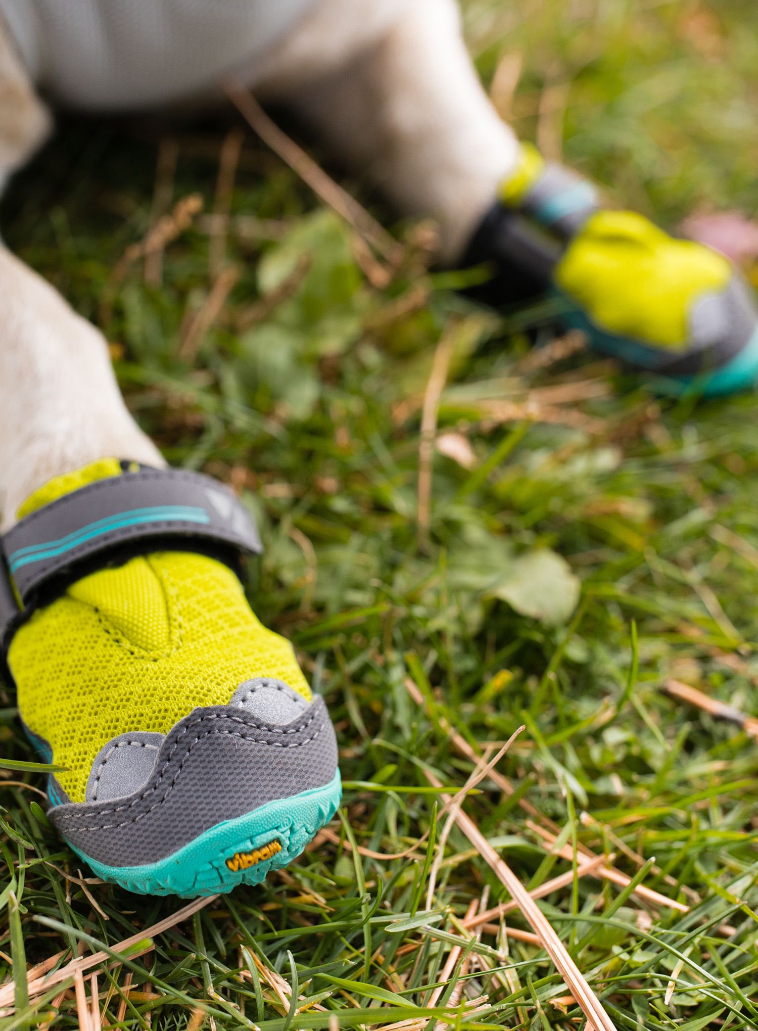 Hundeschuhe Ruffwear Grip Trex - lichen green