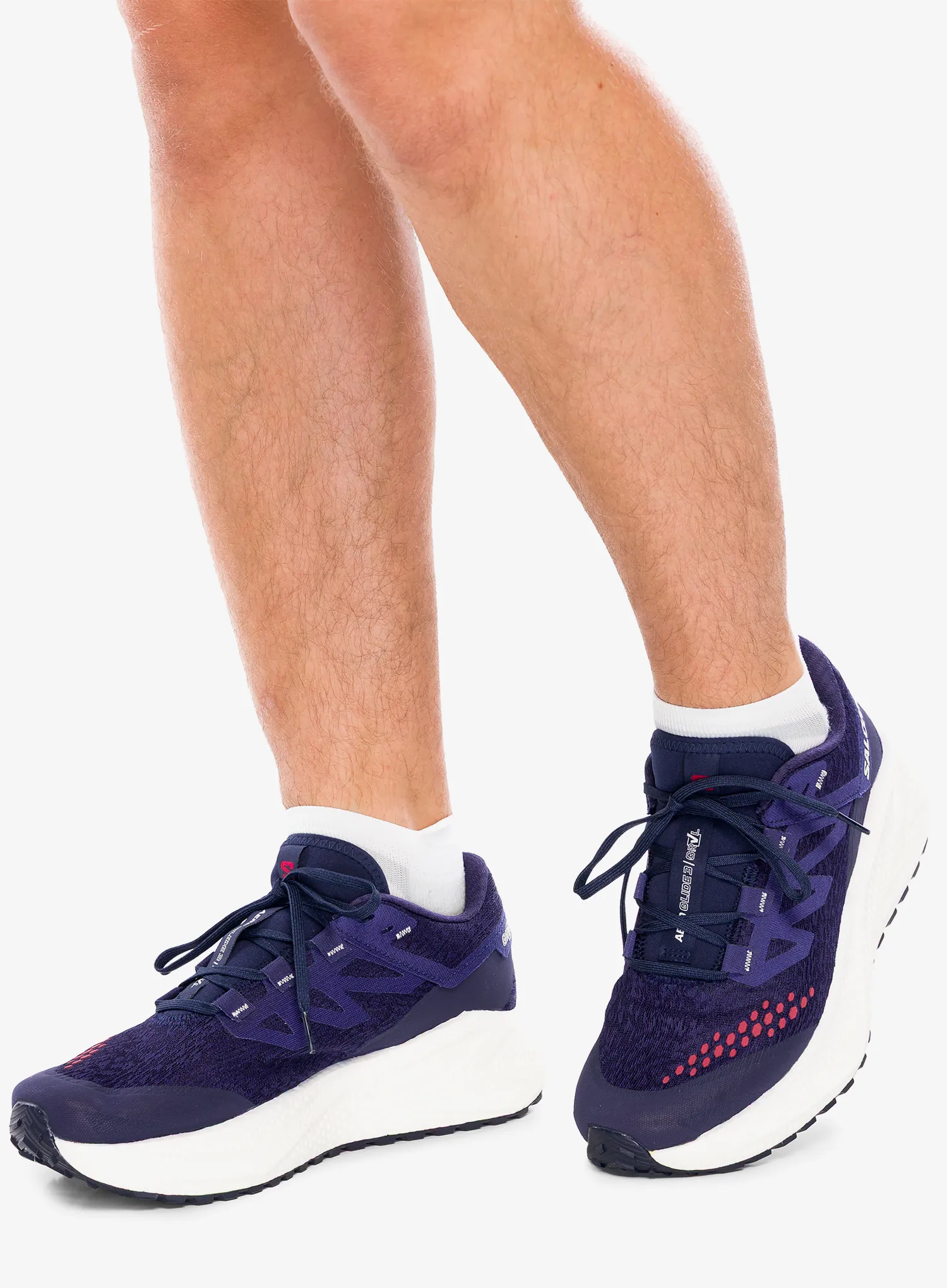 Laufschuhe Herren Salomon Aero Glide 3 GRVL - astral/vanila/haute
