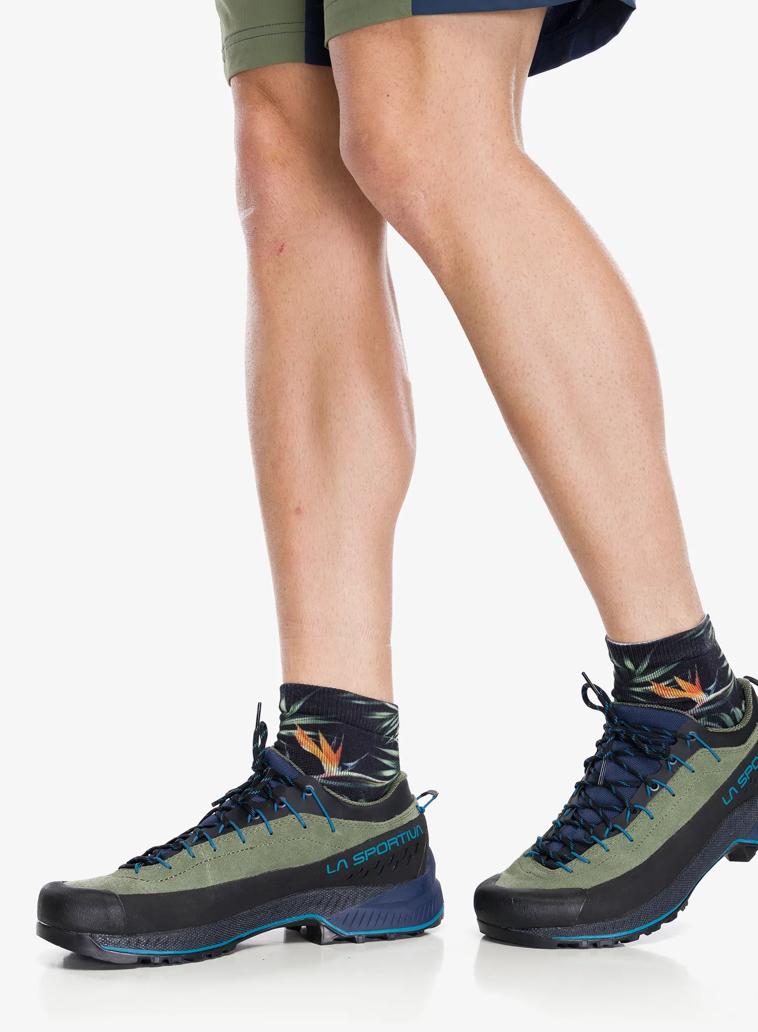 Zustiegschuhe La Sportiva TX4 Evo - cypress/night sky