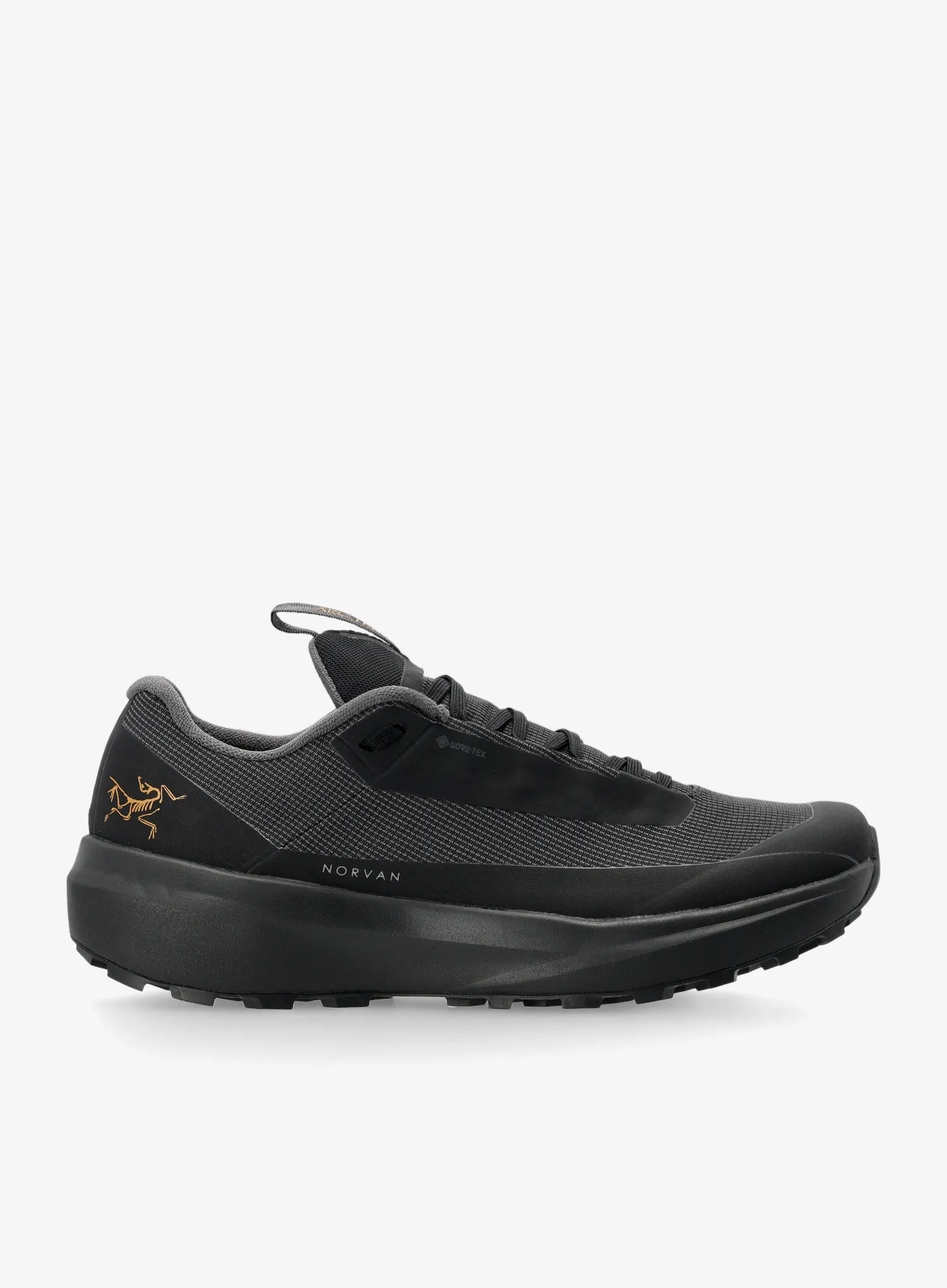 ArcteryxNorvanLD4GTX_black_623555646266a.webp