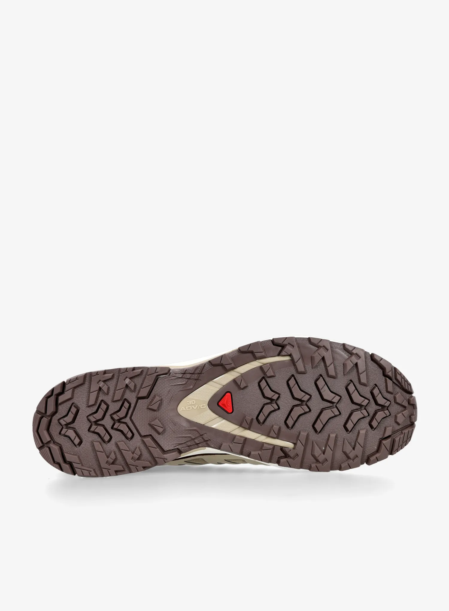 Trailschuhe Salomon Xa Pro 3D V9 Lifelong - eucalyptus/eucalyptus