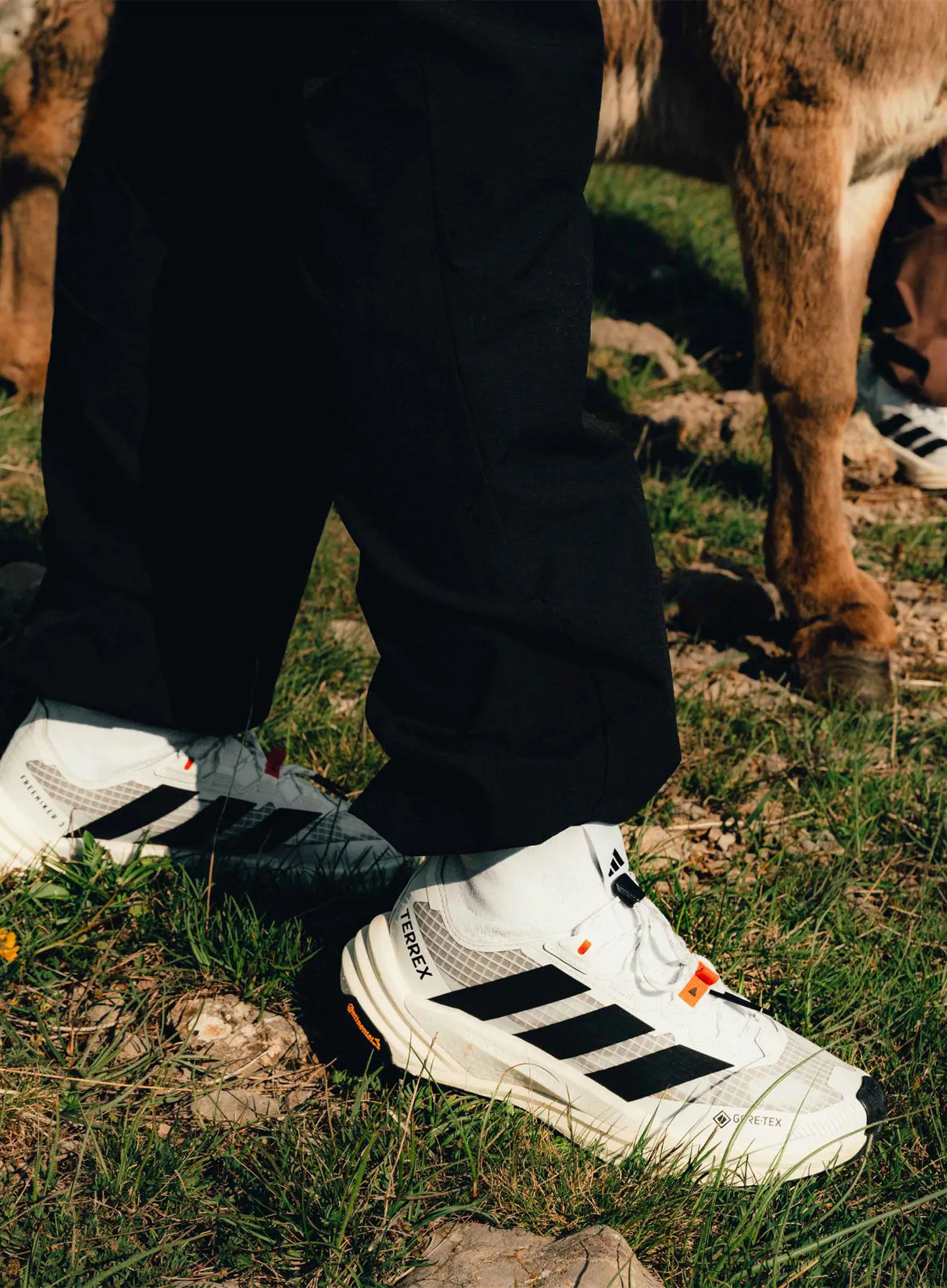 Wanderschuhe Damen adidas TERREX Freehiker 3 Ultra GTX - ftwr white/core blk/off white