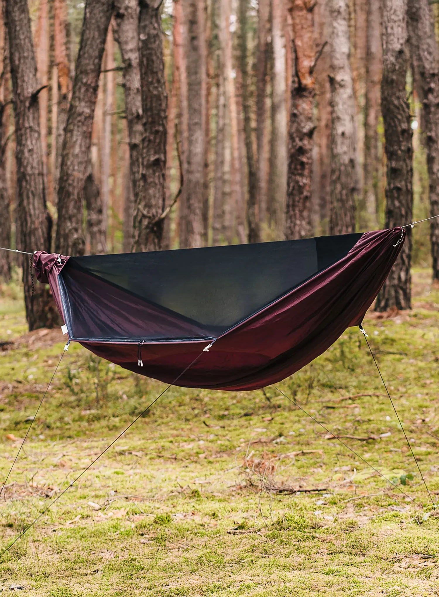 Hängematte Lesovik Draka - burgundy ron