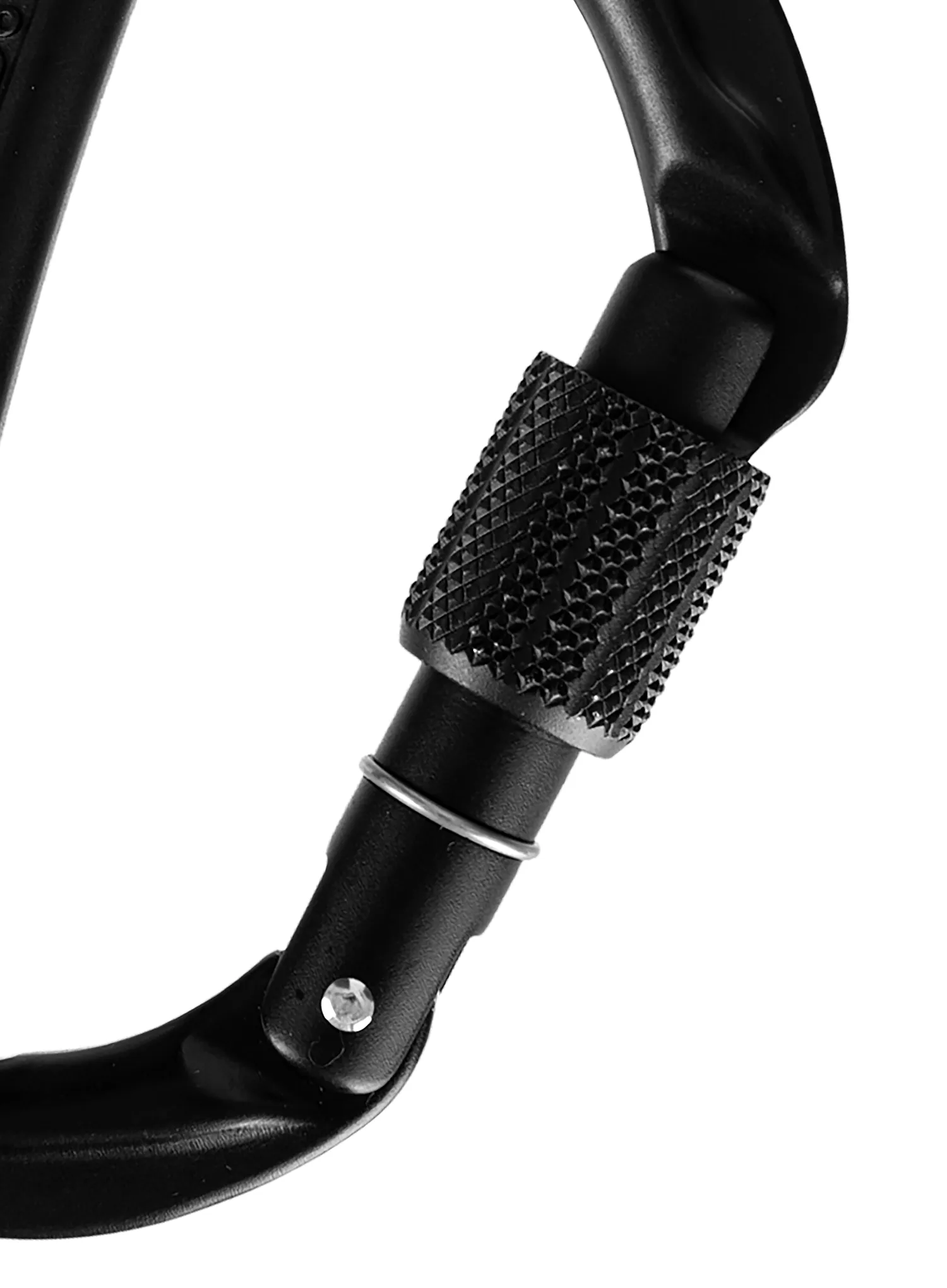 Karabiner Wild Country Session Screw Gate - black