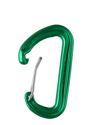 Karabiner DMM Spectre - green