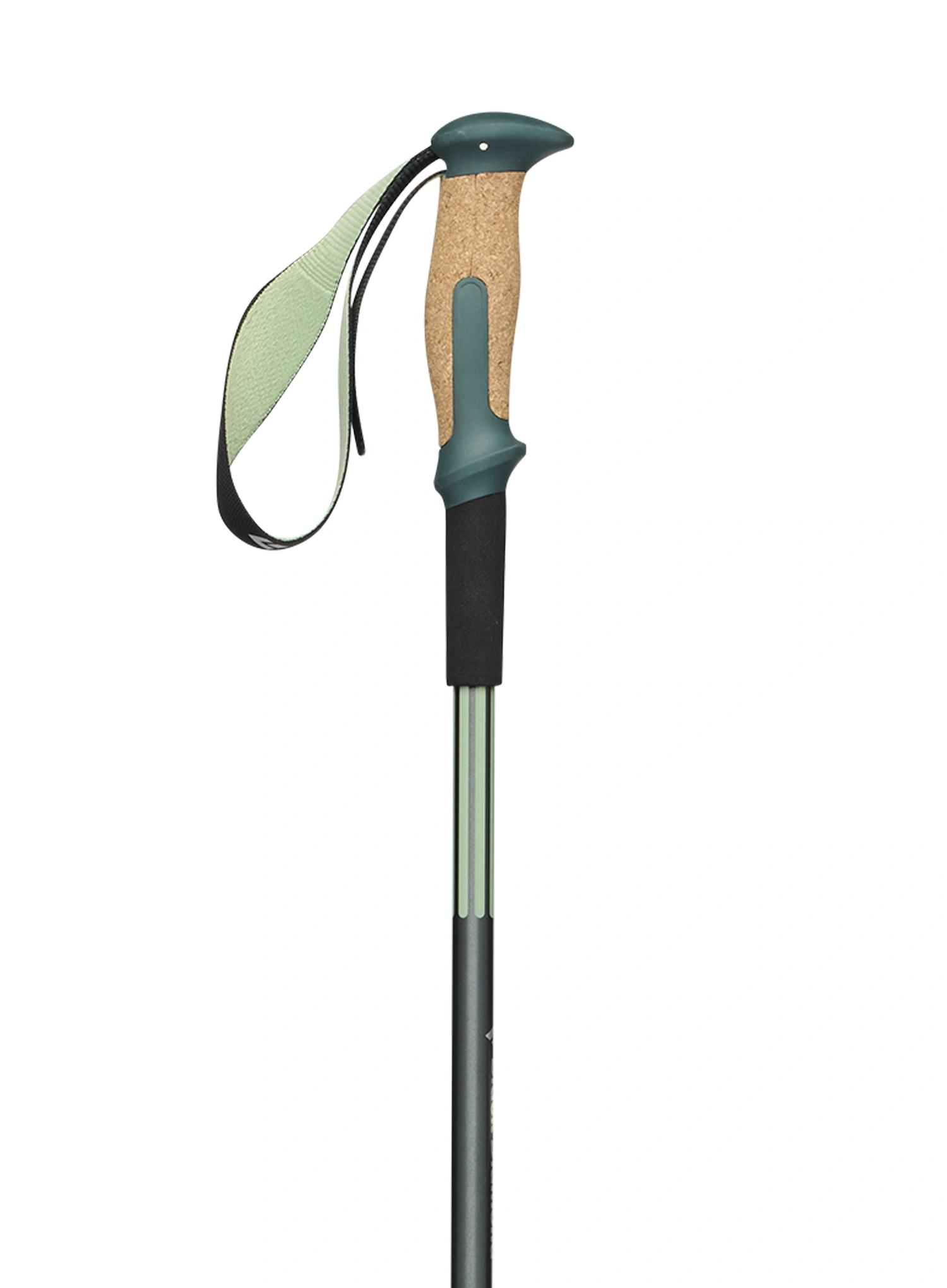 Trekkingstöcke Black Diamond Trail Vista Shock Trek Poles - deep