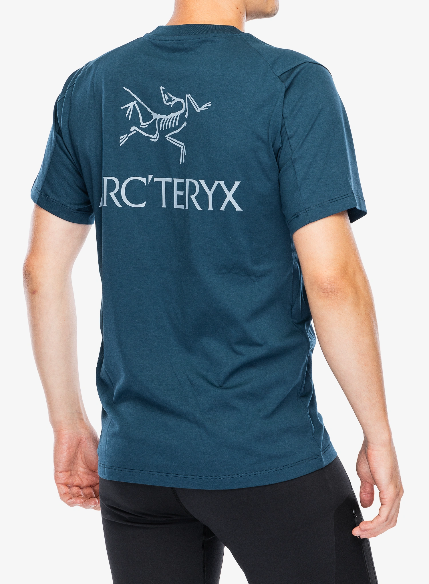 Baumwolle T-Shirt Arcteryx Kragg SL Cotton Bird Word SS - nightscape/lt night