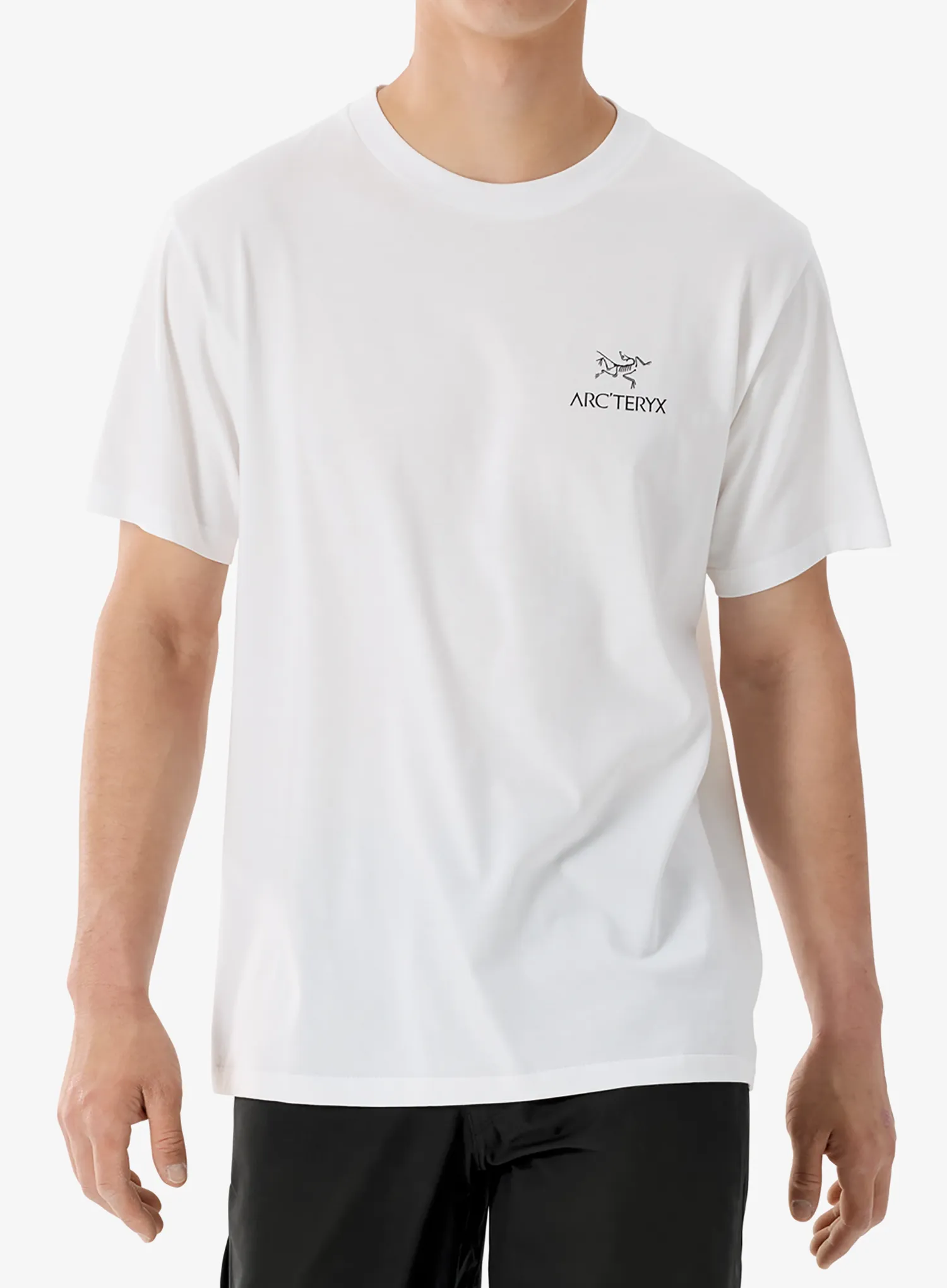 qweArcteryxKraggSLCottonBirdWordSSwhitelightblack623555587835a.webp
