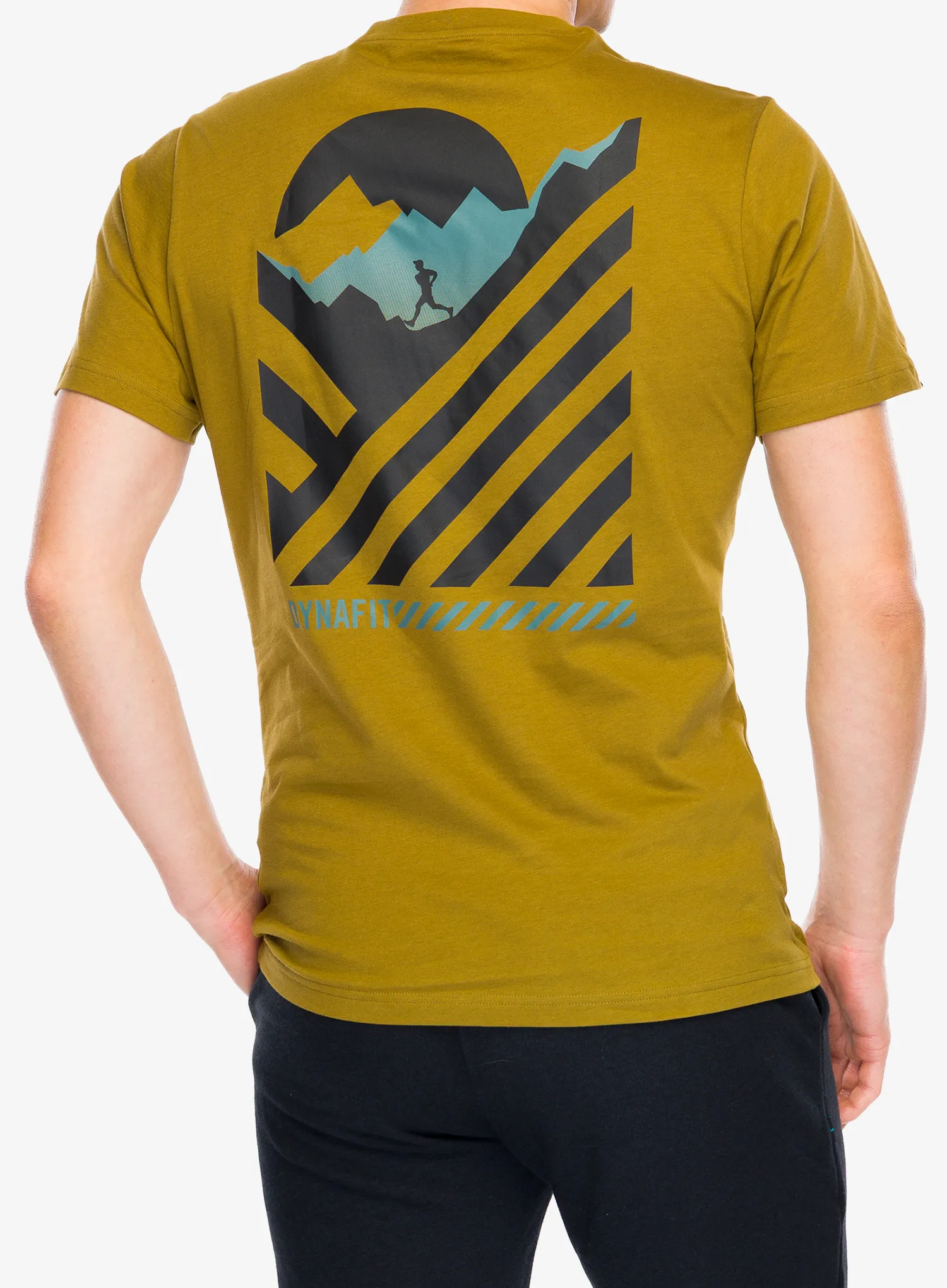 Baumwolle T-Shirt Dynafit 24/7 Graphic T-Shirt - relic/striped elevation
